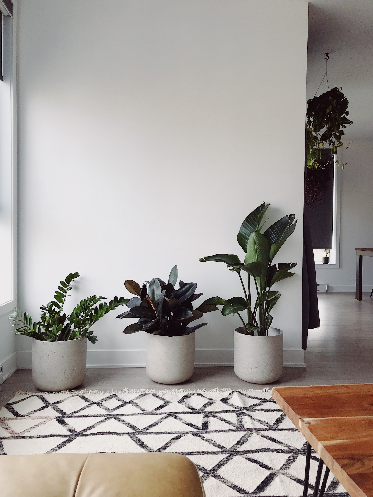 HomePage Plants